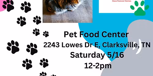 Feline Friends! Kitty Adoption Event :)