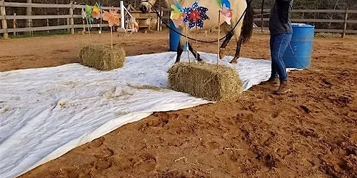 Confidence Through Curiosity (Desensitizing\/Bomb Proofing Clinic)