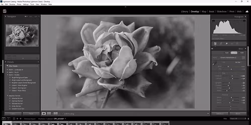 Adobe Lightroom Classic Editing 101