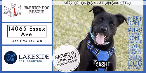 Warrior Dog Rescue at Lakeside Ortho - Apple Valley