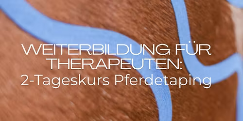 Therapeutisches Taping für Pferde