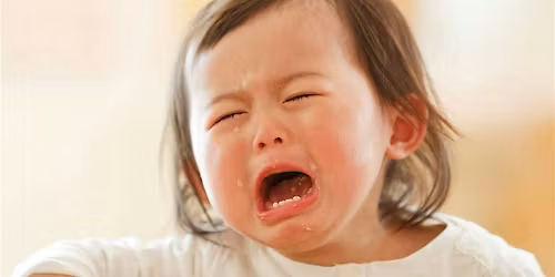 The Terrible Two : Understanding and Supporting Your Child with Care