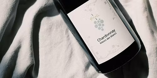 Binzel Sekt & Weintasting \u2013 2 Generationen. 1 Terroir. 3 Jahrhunderte.