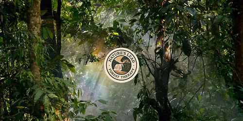 Community Forest Therapy Walks