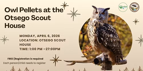 Investigating Owl Pellets at the Otsego Scout House
