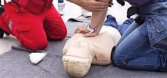 Red Cross Adult & Pediatric CPR\/AED\/First Aid Instructor Certification