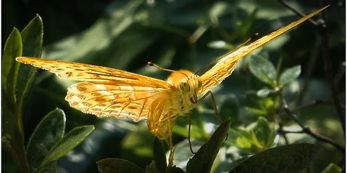 Crawley Down Camera Club