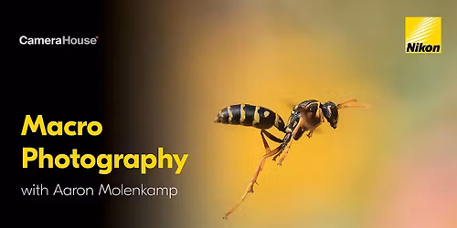 Macro Photography with Aaron Molenkamp