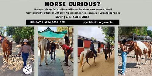 The Horse Connection: A Hands-On Horse Experience for Curious Adults