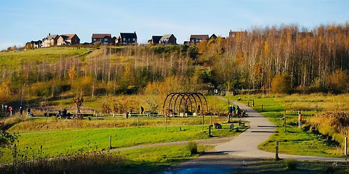 Digital-Free Walk at Gedling Country Park