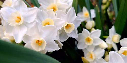 Yin Nidra Yoga Meditation