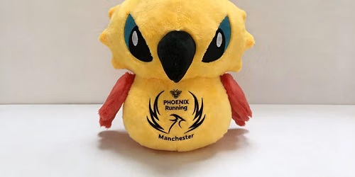 Phoenix Manchester - Feisty and Fluffy Phoenix - The Sequel