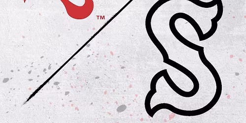 Fayetteville Woodpeckers at Salem Red Sox at Salem Memorial Ballpark - Carilion Clinic Field