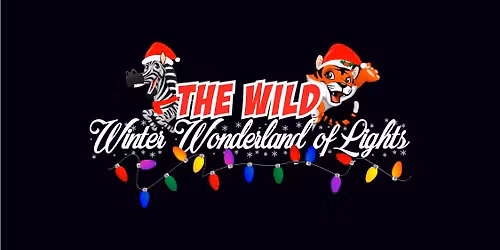 The Wild Wonderland of Lights 