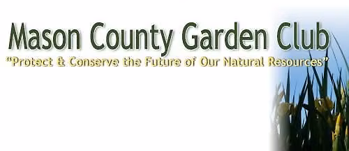 MCGC Meeting - WILDFLOWERS AND GRASSES