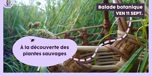 Balade botanique : \u00e0 la d\u00e9couverte des plantes sauvages