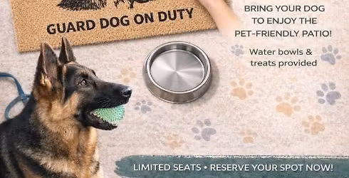 Paint Your Pet on a Doormat Workshop \ud83d\udc3e