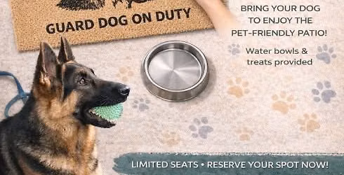 Paint Your Pet on a Doormat Workshop \ud83d\udc3e