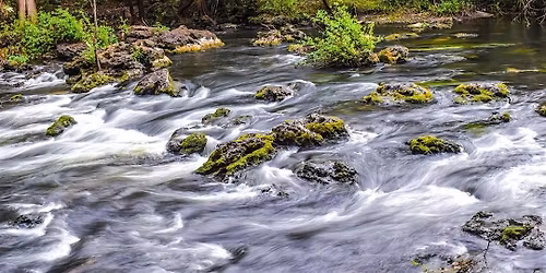 Archaeology Hike at Hillsborough River State Park