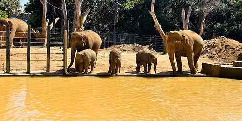 Melbourne Zoo