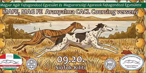 MAFE, MAG FE Aranyalma CACL Coursing verseny