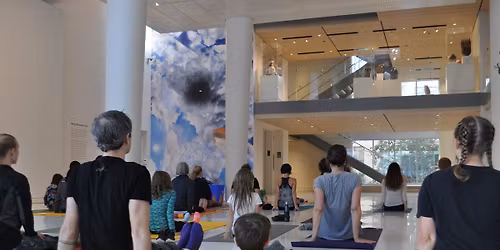 The Art of Yoga: Fall Series