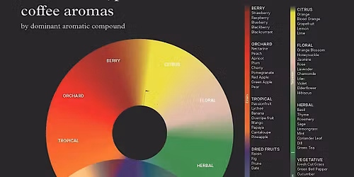 Coffee Tasting Masterclass