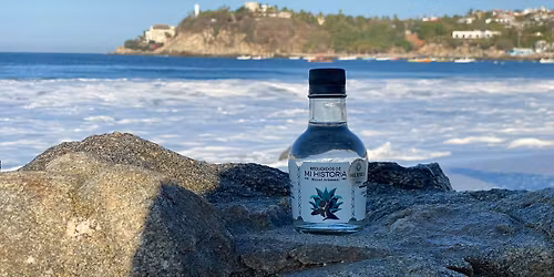 X feria del mezcal y el agave