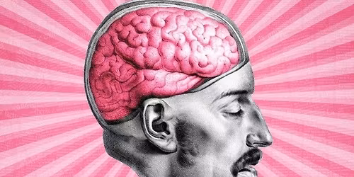 Quiz Hersengymnastiek te Dikkebus - 12e editie