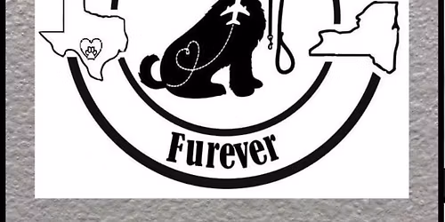 Tattoo Fundraiser \ud83d\udc3e