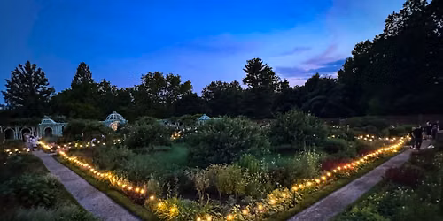 Midsummer Nights