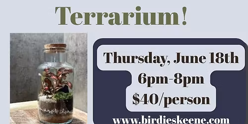 Terrarium Building at Birdies!