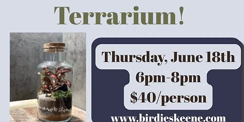 Terrarium Building at Birdies!