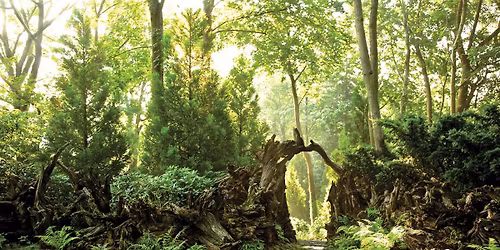 Acu-Sound Fundraiser: Abundance & Reciprocity