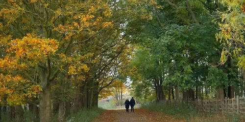 Tree and Winter Tree ID Beginner's Workshop