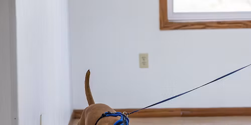 NACSW ORT - entries open April 1 @ 11 am