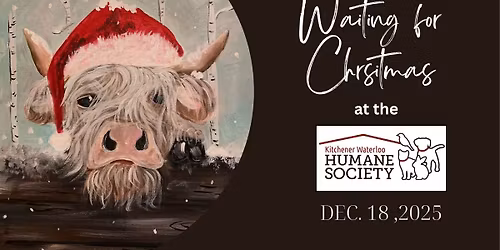 Social Art at the KW Humane Society - Dec 18 - Waiting for Christmas