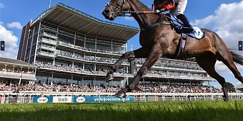 A Day at the Races with York Professionals