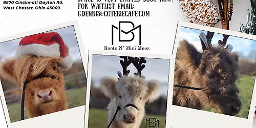 Mini Photos with Mini Cows