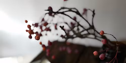 Holiday Watercolour Painting with Liana I Sat, Dec, 20 I 9 - 10:30 am