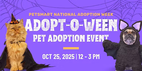 Dog and Cat Adoption Event at PetSmart