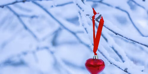 Juldagskonsert p\u00e5 stora orgeln