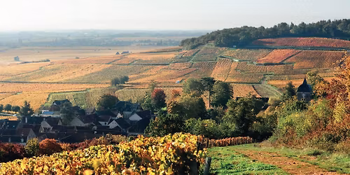 World of Wine Series: Burgundy