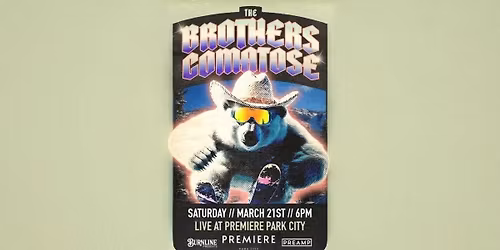 The Brothers Comatose