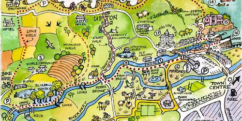 Bude Canal Guided Walk