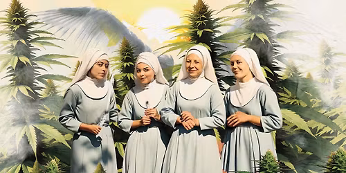 Catalyst Dispensary Santa Ana