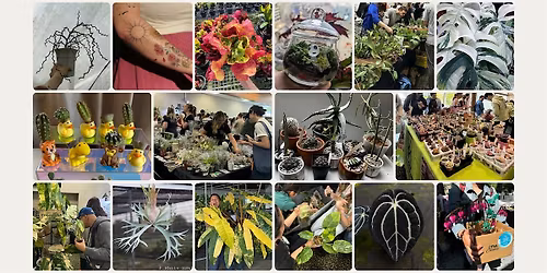 The Secret Plant Show IV Returns!