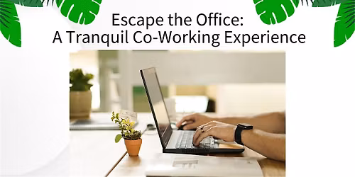 Escape the Office: A Tranquil Co-Working Experience