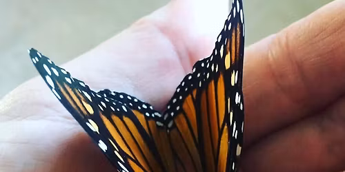 Restorative Yoga and Sound Bath