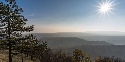 T\u00e9li Palota vezetett teljes\u00edtm\u00e9nyt\u00fara